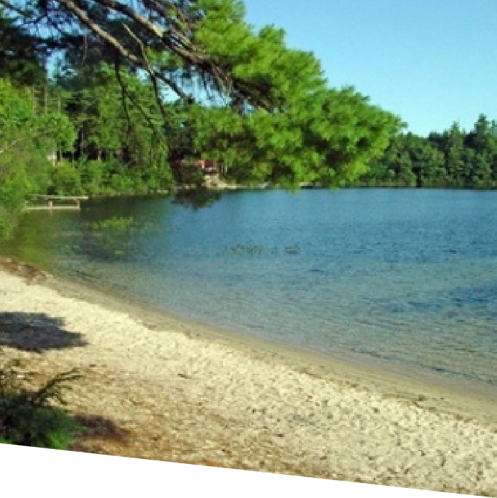 Pond And Lake
